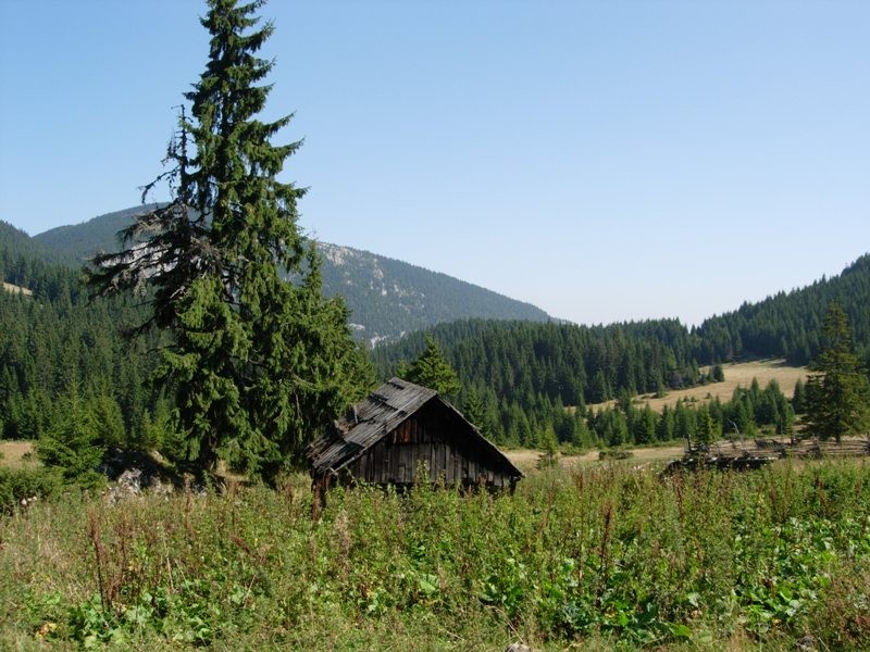 Fehér-mező - Hagymás-hegység